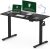 FLEXISPOT Standing Desk, Electric Height Adjustable Desk 48 x 24 Inches Sit Stand Desk Home Office Desk Whole-Piece Desk Board (Black Frame + 48 in Black Top)